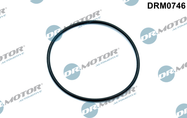 DR.MOTOR AUTOMOTIVE Dichtung, Unterdruckpumpe drm0746 für VW