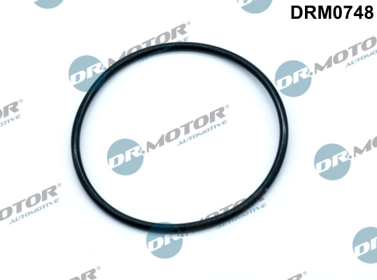 DR.MOTOR AUTOMOTIVE Dichtung, Unterdruckpumpe drm0748 für Citroën/Peugeot BMW
