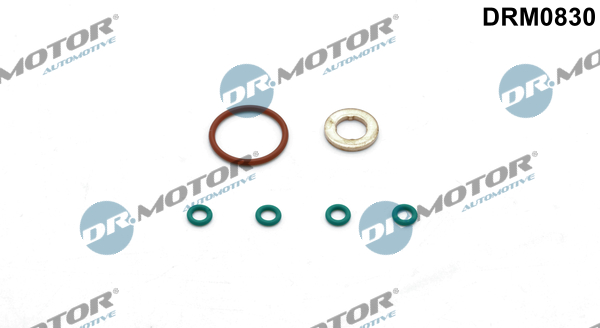 DR.MOTOR AUTOMOTIVE Dichtungssatz, Einspritzdüse drm0830 für VW