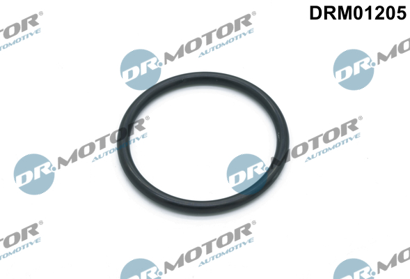 DR.MOTOR AUTOMOTIVE Dichtung, Wasserpumpe drm01205 für BMW