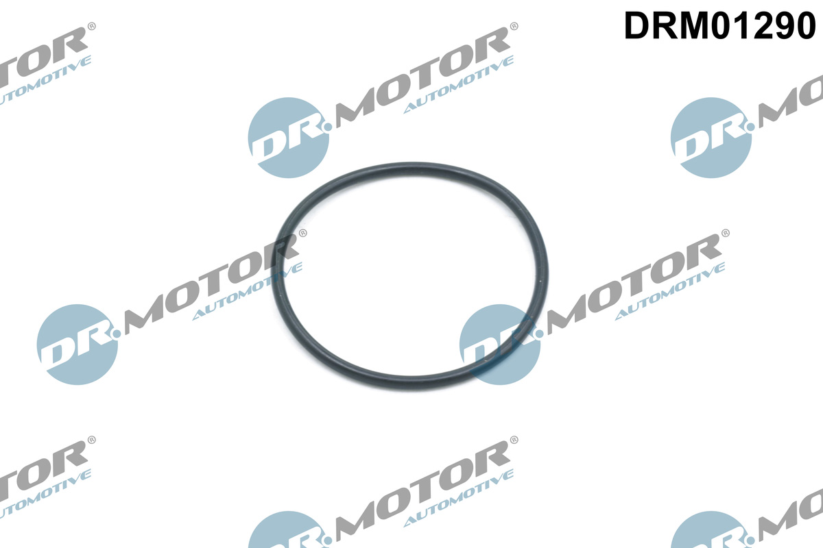 DR.MOTOR AUTOMOTIVE Dichtring, Steuerkettenspanner drm01290 für JAGUAR Mercedes LAND ROVER