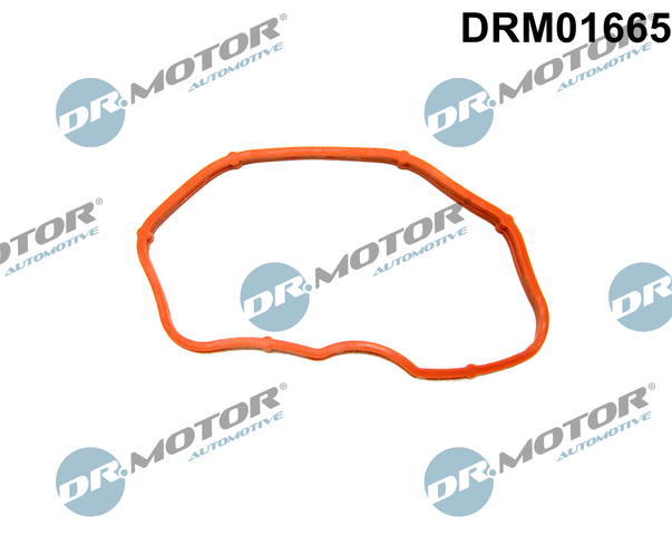 DR.MOTOR AUTOMOTIVE Dichtung, Ansaugkrümmer drm01665 Ausgang für VW Porsche