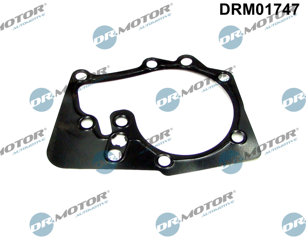 DR.MOTOR AUTOMOTIVE Dichtung, Wasserpumpe drm01747 für RENAULT