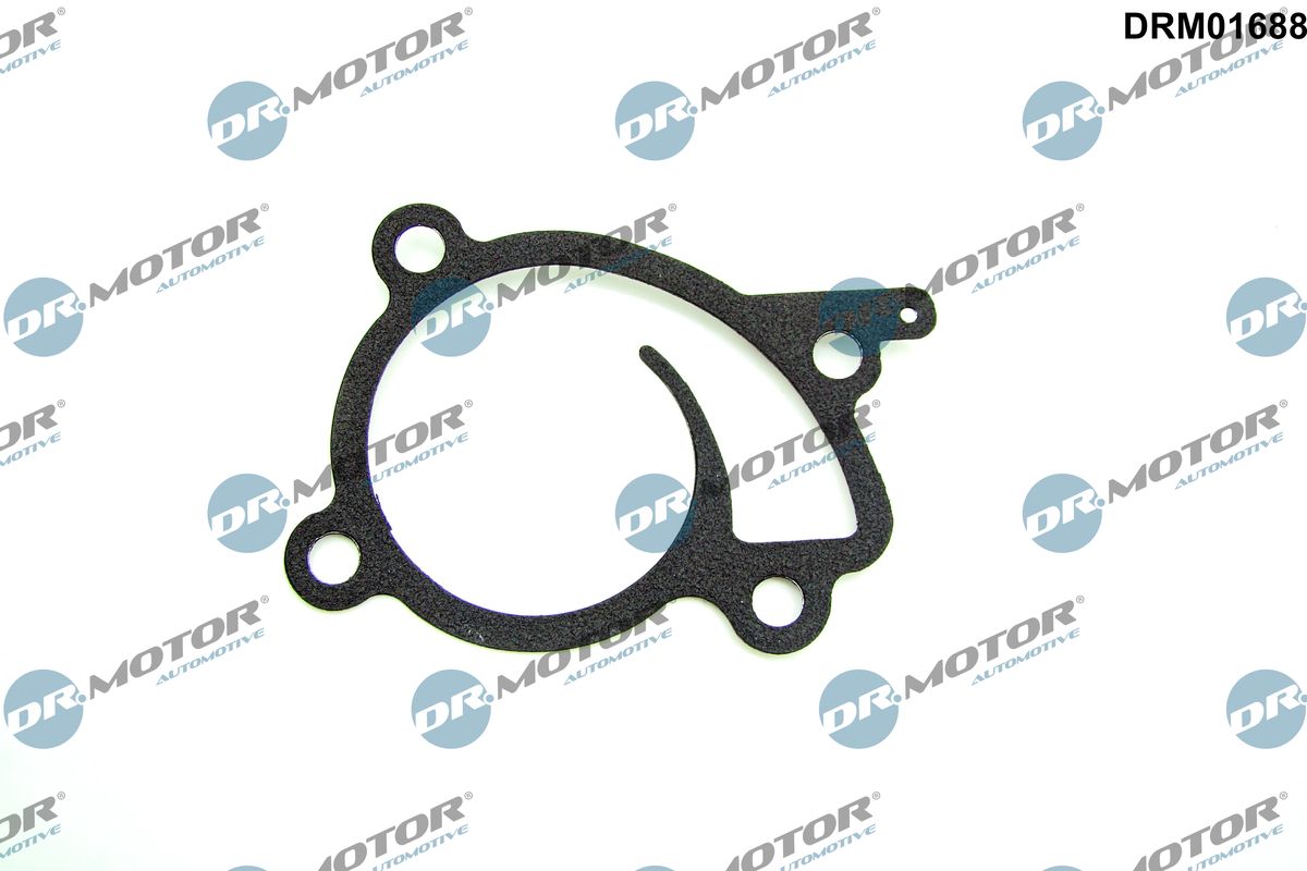 DR.MOTOR AUTOMOTIVE Dichtung, Wasserpumpe drm01688 für Mercedes DACIA NISSAN