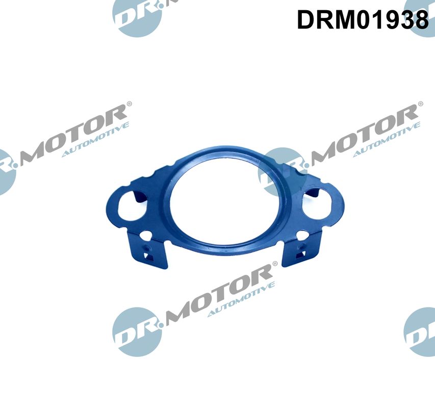 DR.MOTOR AUTOMOTIVE Dichtung, Leitung AGR-Ventil drm01938 für Ford Volvo Opel Peugeot Fiat MAZDA