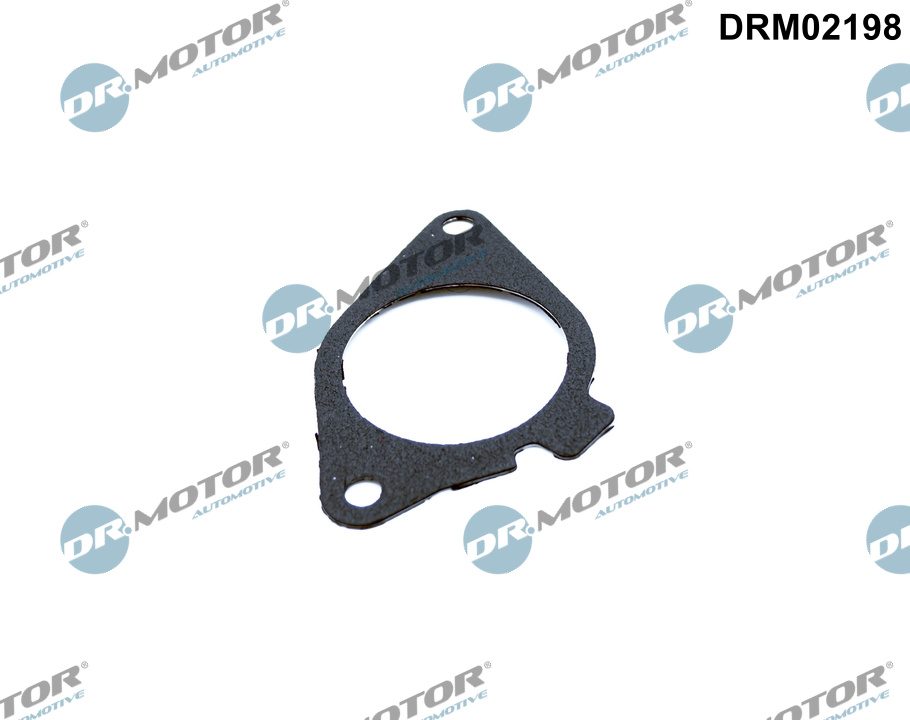 DR.MOTOR AUTOMOTIVE Dichtung, AGR-Ventil drm02198 für BMW