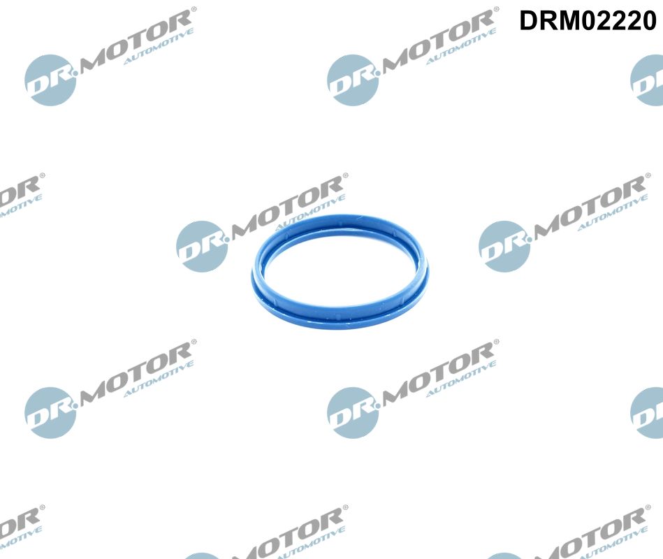 DR.MOTOR AUTOMOTIVE Dichtung, Ansaugkrümmergehäuse drm02220 für Ford Peugeot
