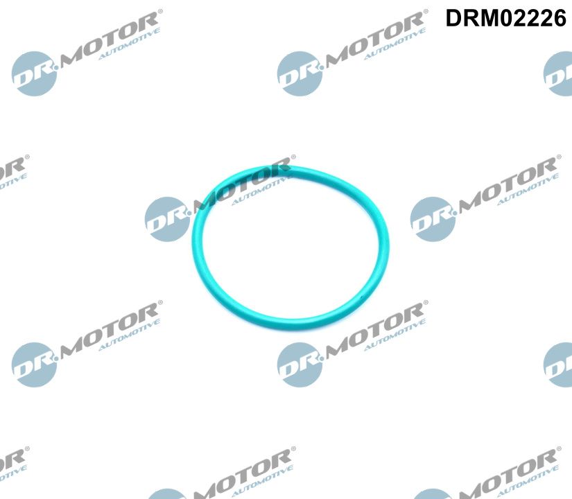 DR.MOTOR AUTOMOTIVE Dichtung, AGR-Ventil drm02226 nach Abgasrückführung für Ford