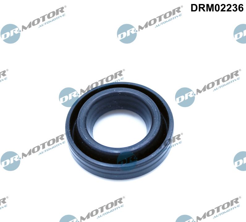 DR.MOTOR AUTOMOTIVE Dichtring, Kerzenschacht drm02236 für LEXUS