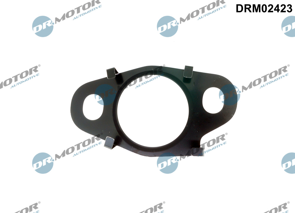 DR.MOTOR AUTOMOTIVE Dichtung, Leitung AGR-Ventil drm02423 für RENAULT