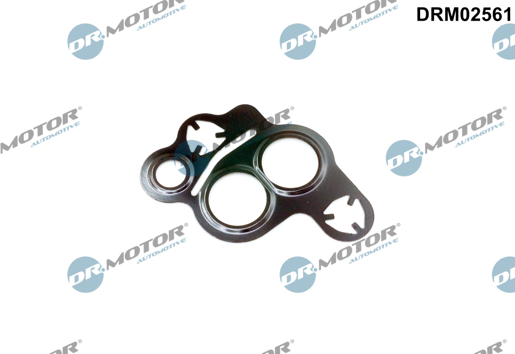 DR.MOTOR AUTOMOTIVE Dichtung, AGR-Ventil drm02561 für Ford Volvo MAZDA