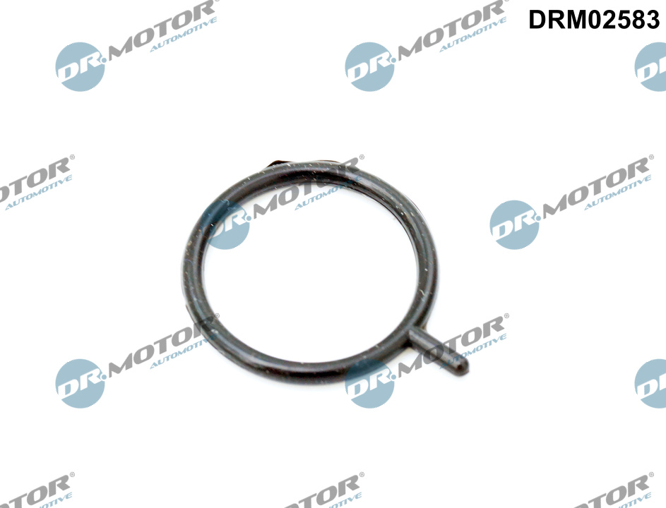 DR.MOTOR AUTOMOTIVE Dichtring, Motorölstandsensor drm02583 für MAZDA