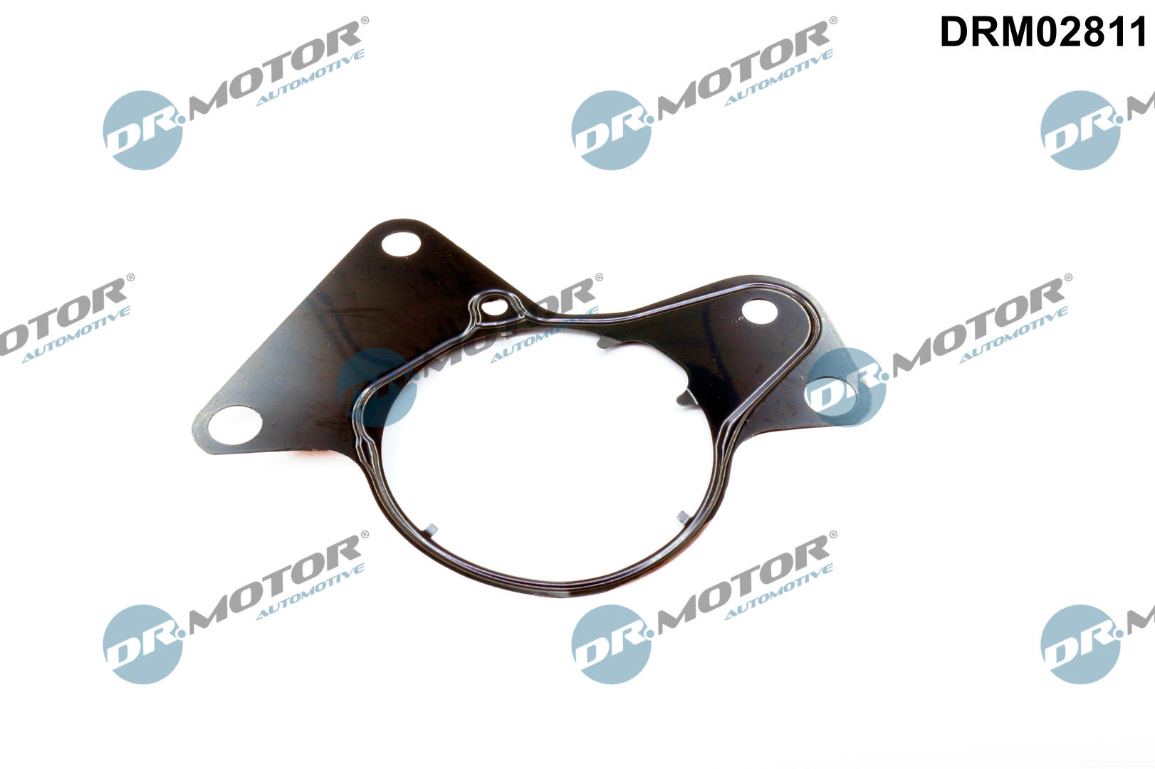 DR.MOTOR AUTOMOTIVE Dichtung, Kraftstoffpumpe drm02811 für VW