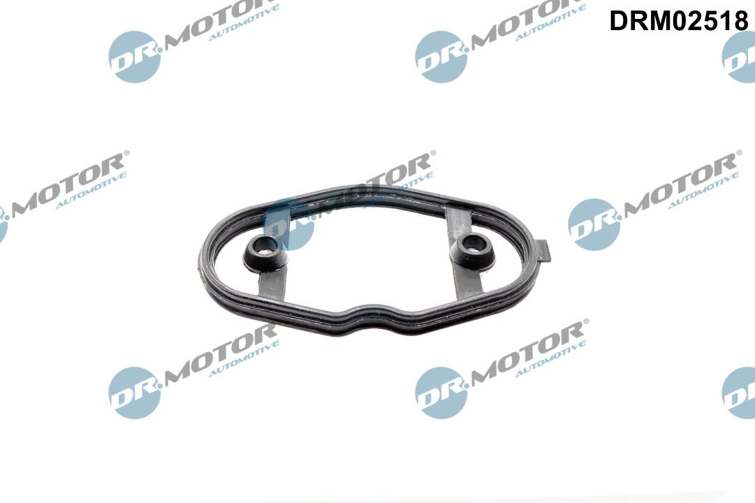 DR.MOTOR AUTOMOTIVE Dichtung, Kraftstoffpumpe drm02518 für BMW