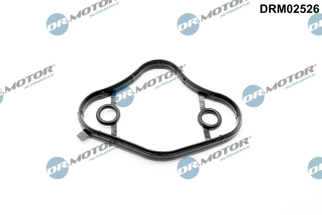 DR.MOTOR AUTOMOTIVE Dichtung, Kraftstoffpumpe drm02526 für BMW