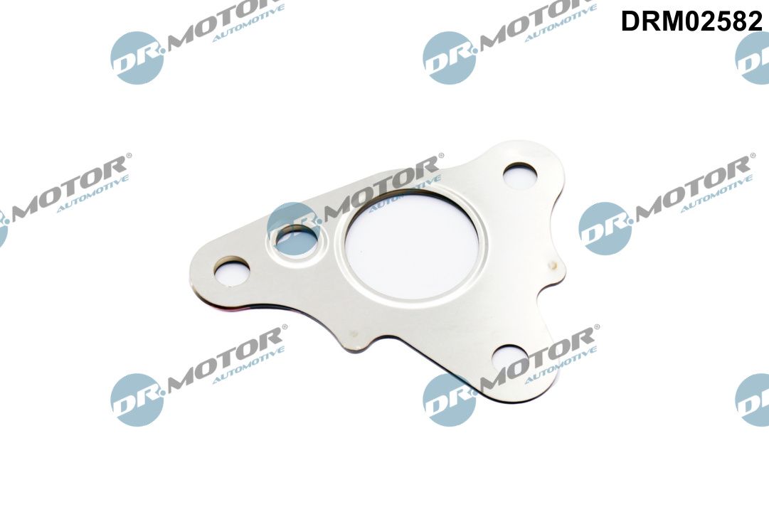 DR.MOTOR AUTOMOTIVE Dichtung, Leitung AGR-Ventil drm02582 vor AGR-Kühler für MAZDA