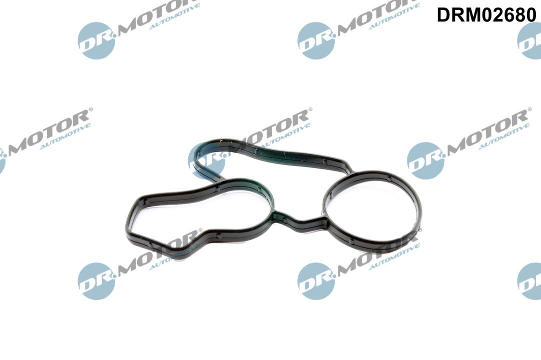 DR.MOTOR AUTOMOTIVE Dichtung, Wasserpumpe drm02680 für VW