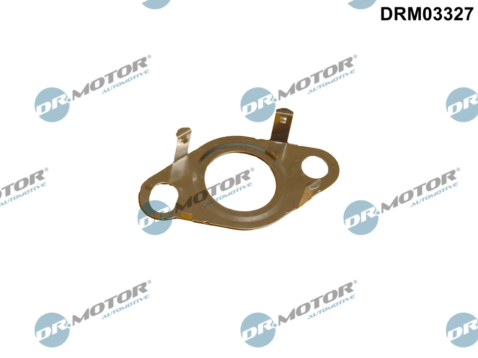 DR.MOTOR AUTOMOTIVE Dichtung, Leitung AGR-Ventil drm03327 für MAN VW