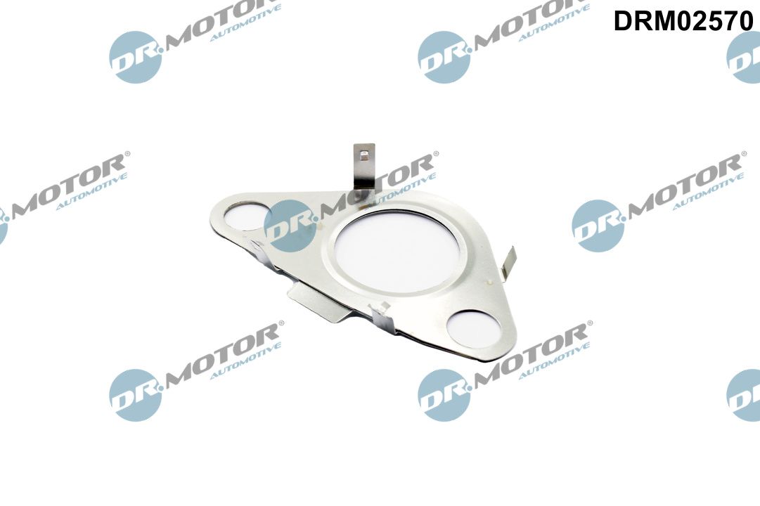 DR.MOTOR AUTOMOTIVE Dichtung, Leitung AGR-Ventil drm02570 vor AGR-Kühler für MINI