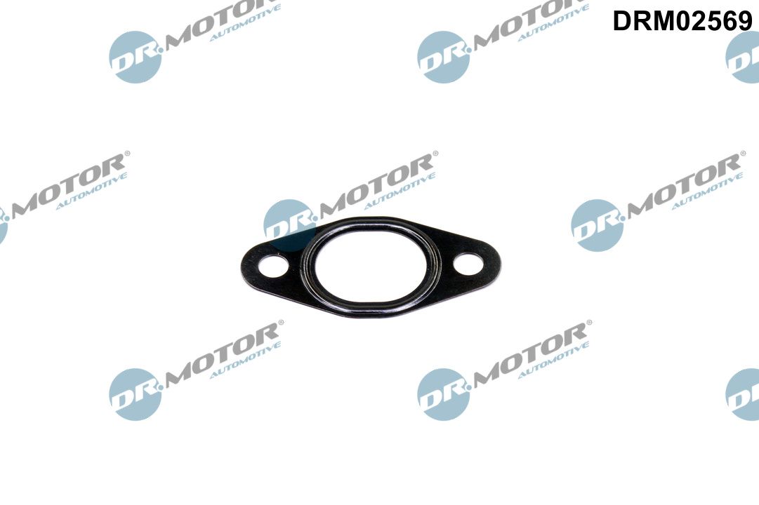 DR.MOTOR AUTOMOTIVE Dichtung, Leitung AGR-Ventil drm02569 für BMW