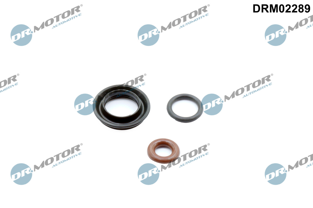 DR.MOTOR AUTOMOTIVE Dichtungssatz, Einspritzdüse drm02289 für Volvo