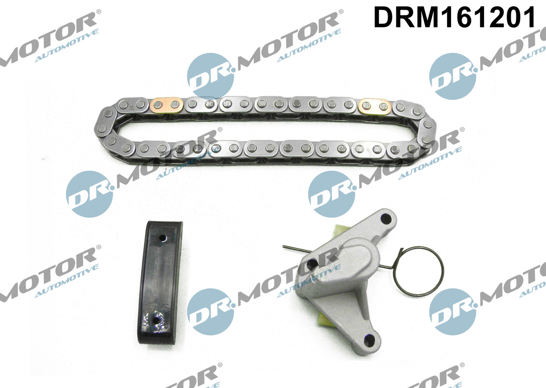 DR.MOTOR AUTOMOTIVE Steuerkettensatz drm161201 für Ford Volvo Peugeot LANCIA