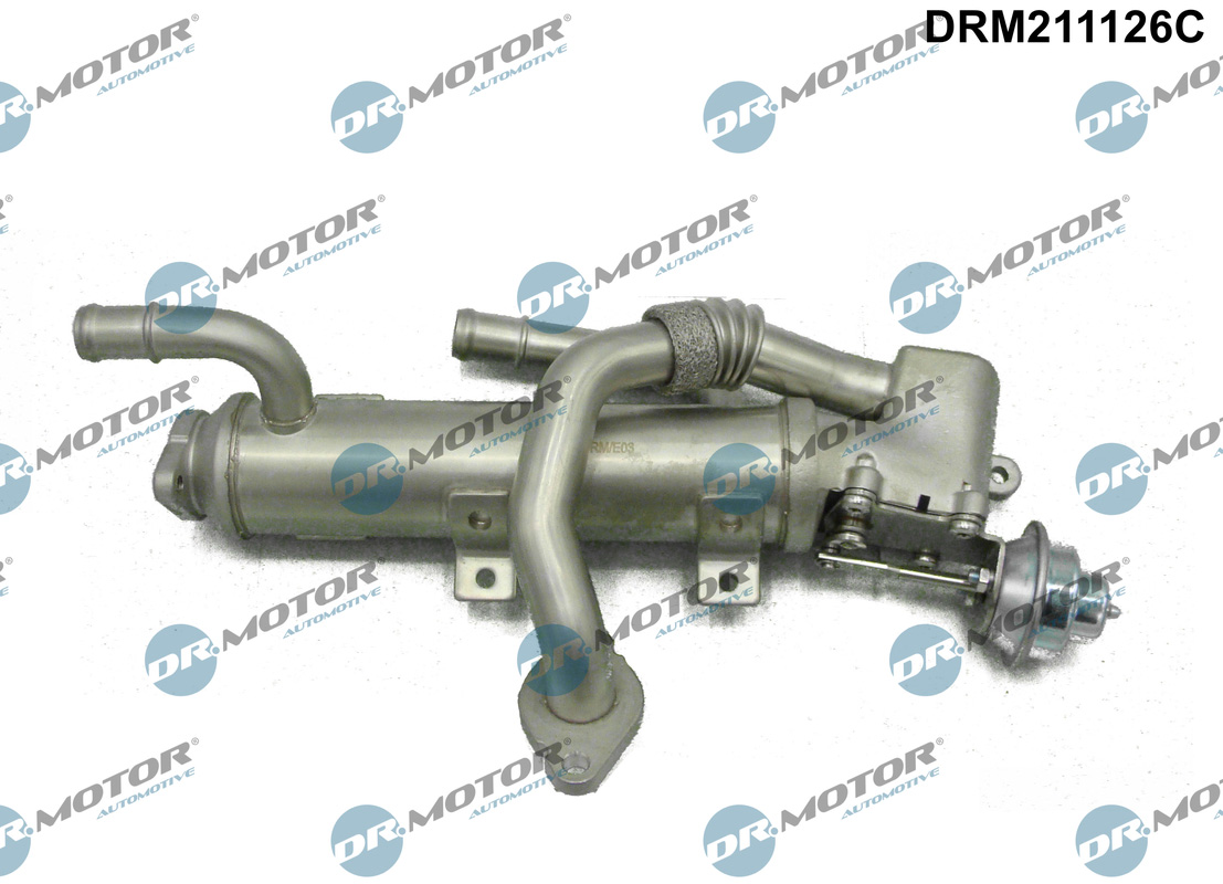 DR.MOTOR AUTOMOTIVE Kühler, Abgasrückführung drm211126c für Audi