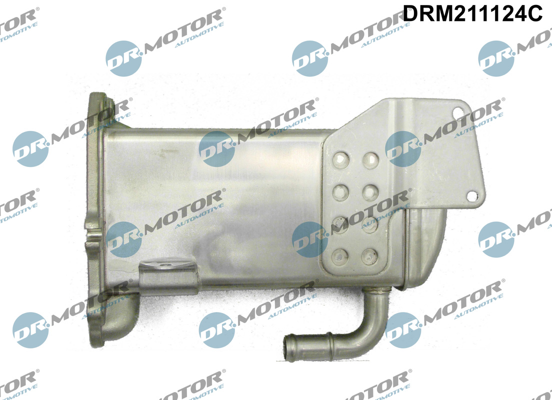 DR.MOTOR AUTOMOTIVE Kühler, Abgasrückführung drm211124c für SEAT