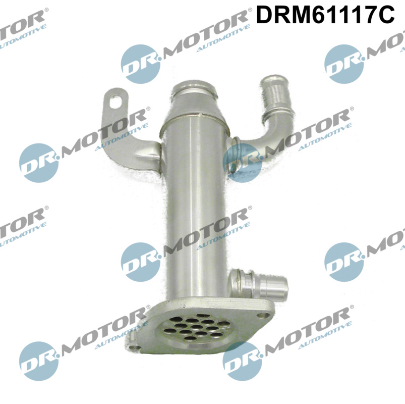 DR.MOTOR AUTOMOTIVE Kühler, Abgasrückführung drm61117c für Peugeot Ford Volvo Fiat