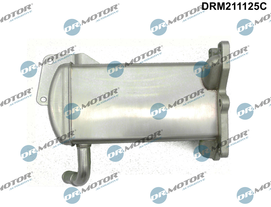DR.MOTOR AUTOMOTIVE Kühler, Abgasrückführung drm211125c für VW
