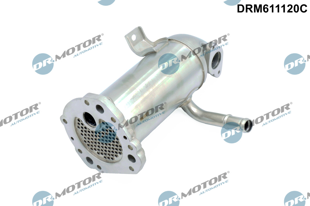 DR.MOTOR AUTOMOTIVE Kühler, Abgasrückführung drm611120c für Ford