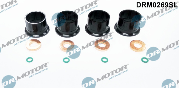 DR.MOTOR AUTOMOTIVE Dichtungssatz, Einspritzdüse drm0269sl