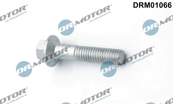 DR.MOTOR AUTOMOTIVE Schraube, Einspritzdüsenhalter drm01066 für Ford