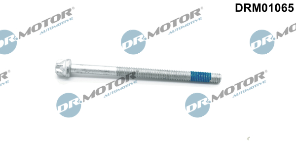 DR.MOTOR AUTOMOTIVE Schraube, Einspritzdüsenhalter drm01065 für Mercedes
