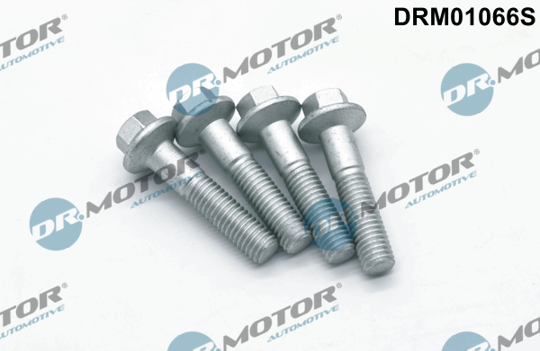 DR.MOTOR AUTOMOTIVE Schraube, Einspritzdüsenhalter drm01066s für Ford