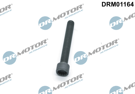 DR.MOTOR AUTOMOTIVE Schraube, Einspritzdüsenhalter drm01164 für VW