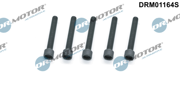 DR.MOTOR AUTOMOTIVE Schraube, Einspritzdüsenhalter drm01164s für VW