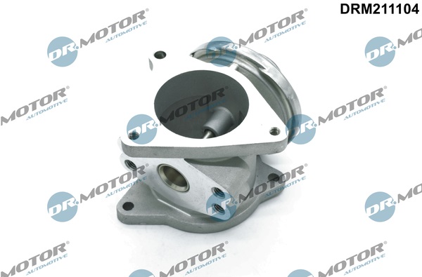DR.MOTOR AUTOMOTIVE AGR-Ventil drm211104 für VW MITSUBISHI