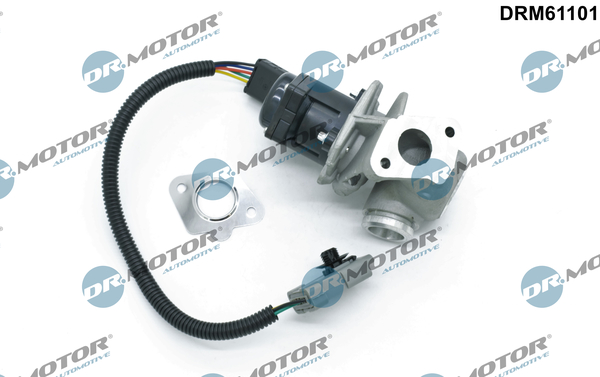 DR.MOTOR AUTOMOTIVE AGR-Ventil drm61101 für Ford Volvo
