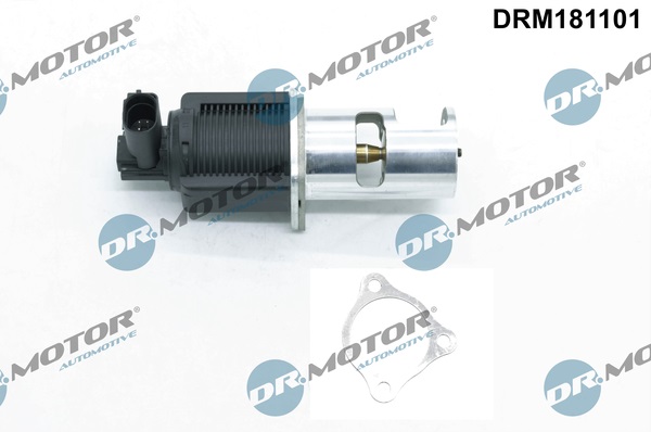 DR.MOTOR AUTOMOTIVE AGR-Ventil drm181101 für NISSAN RENAULT