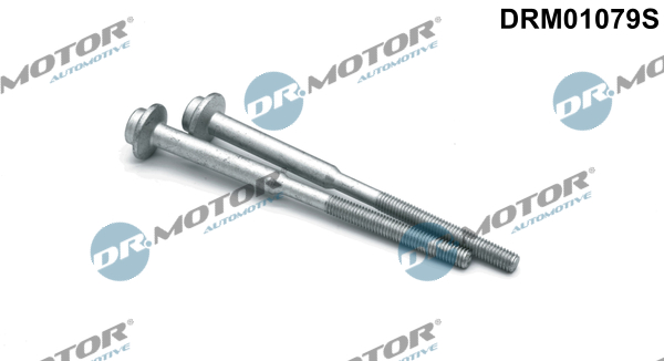 DR.MOTOR AUTOMOTIVE Schraube, Einspritzdüsenhalter drm01079s für VW