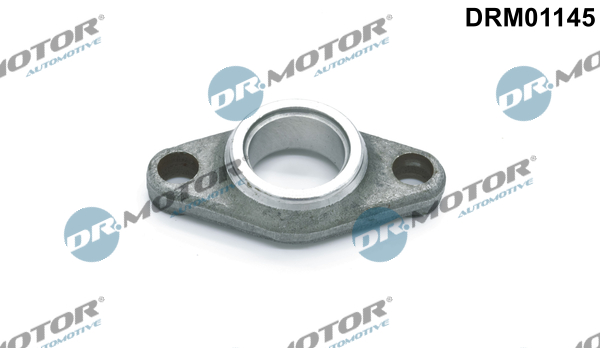 DR.MOTOR AUTOMOTIVE Halter, Einspritzventil drm01145 für Ford Peugeot