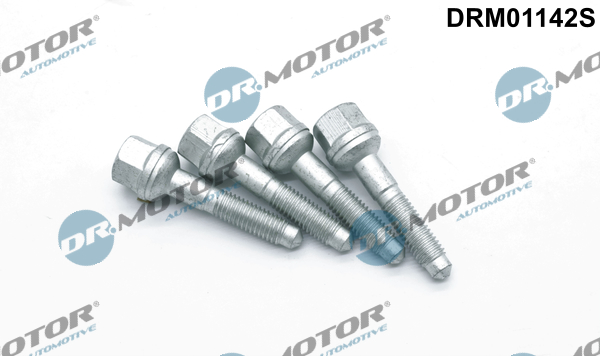 DR.MOTOR AUTOMOTIVE Schraube, Einspritzdüsenhalter drm01142s für Peugeot