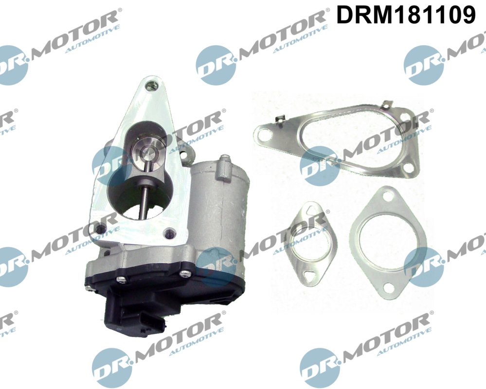DR.MOTOR AUTOMOTIVE AGR-Ventil drm181109 für RENAULT Suzuki