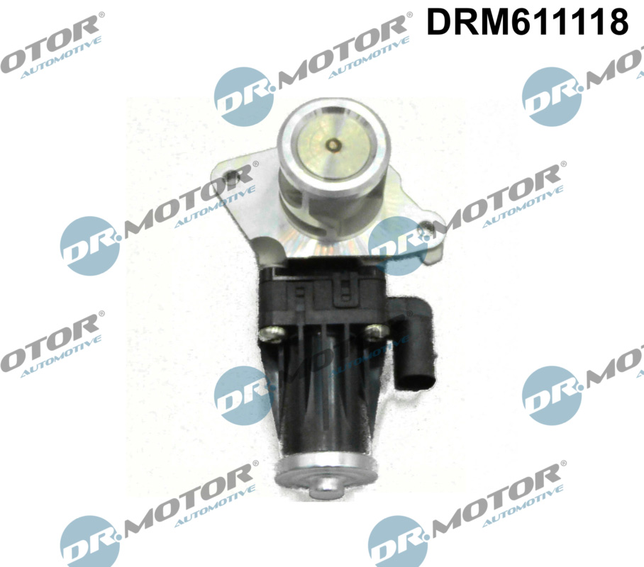 DR.MOTOR AUTOMOTIVE AGR-Ventil drm611118 für Opel LANCIA Peugeot Suzuki