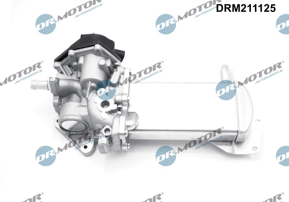 DR.MOTOR AUTOMOTIVE AGR-Ventil drm211125 für VW