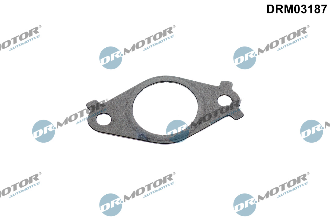 DR.MOTOR AUTOMOTIVE Dichtung, Leitung AGR-Ventil drm03187 nach AGR-Kühler für MAZDA
