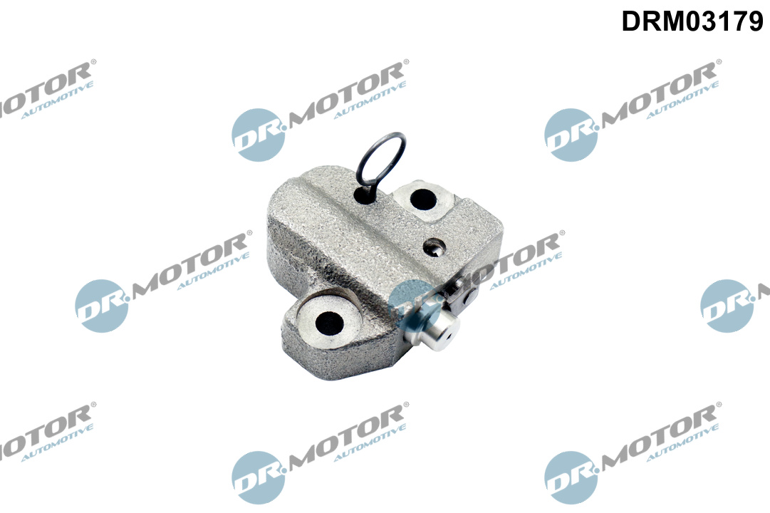 DR.MOTOR AUTOMOTIVE Kettenspanner, Steuerkette drm03179 für Ford Volvo MAZDA LAND ROVER