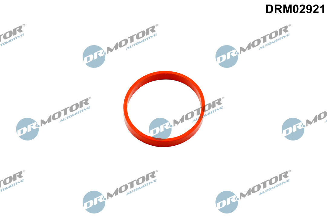 DR.MOTOR AUTOMOTIVE Dichtring, Ladeluftschlauch drm02921 für NISSAN DACIA