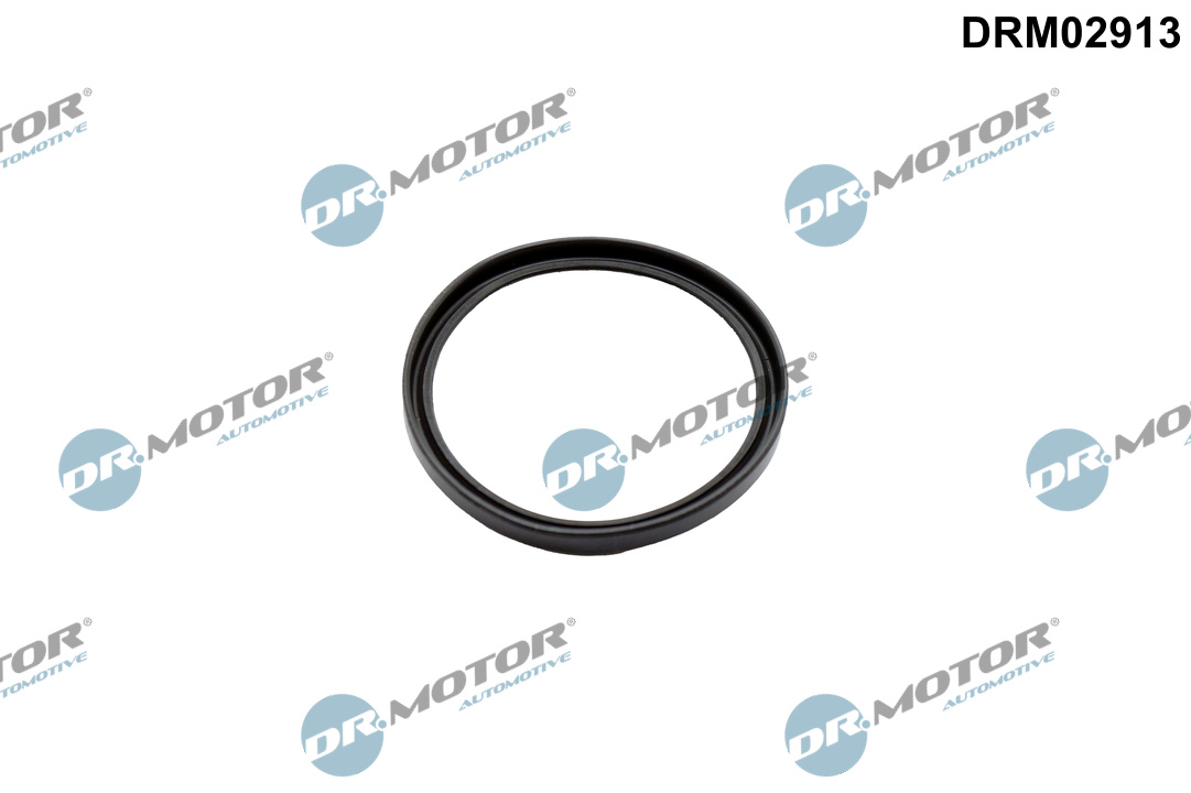 DR.MOTOR AUTOMOTIVE Dichtring, Ladeluftschlauch drm02913 für RENAULT